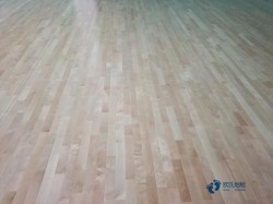 �\(y��n)��(d��ng)��(sh��)ľ�ذ尲�b���